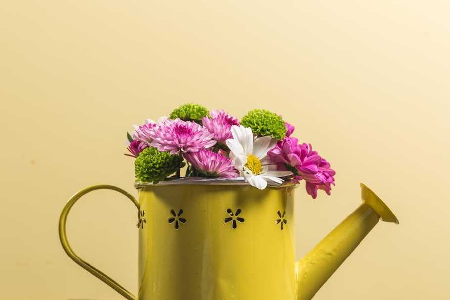 yellow-watering-can